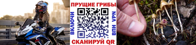 Галлюциногенные грибы прущие грибы  hydra ONION  Верхотурье 